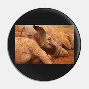 Baby Elephants Playtime Pin