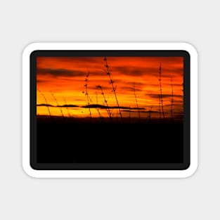 Winter Soltace Sunset Magnet