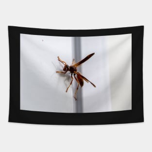 Wasp Tapestry