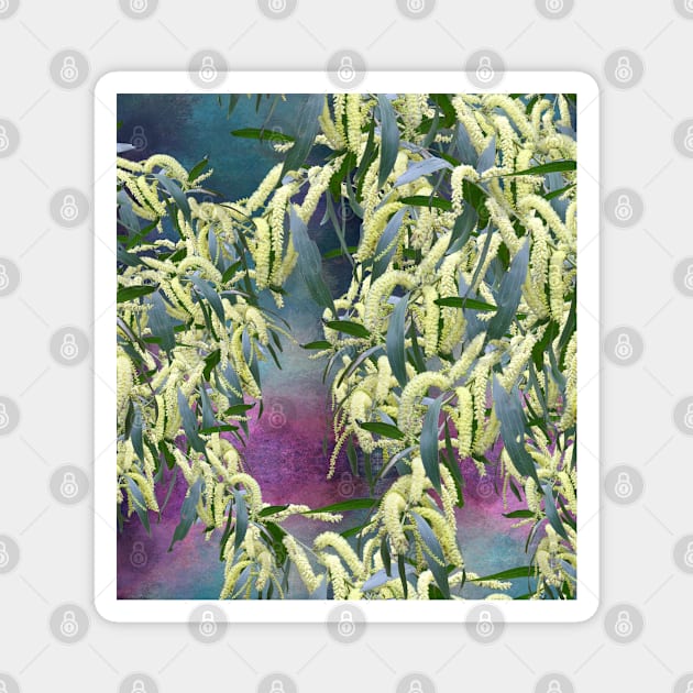 Wattle blooms in an abstract landscape Magnet by hereswendy