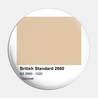 Daybreak British Standard 1020 Colour Swatch Pin