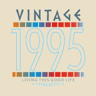 20th Birthday T-Shirt - Vintage 1995 T-Shirt