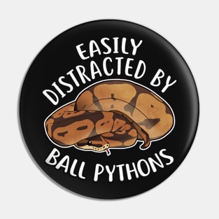 Easily Distracted By Ball Pythons Pin