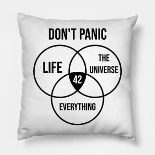 42 The Answer To Life,The Universe & Everything ,science Pillow