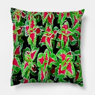 coleus leaves pattern Pillow