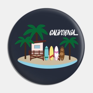 Beach bear blending in the environment Pin