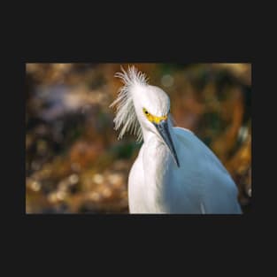 Snowy Egret T-Shirt