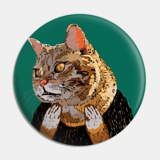 Who Me? Shocked Ginger Cat Pin