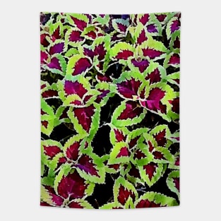 coleus leaves pattern Tapestry