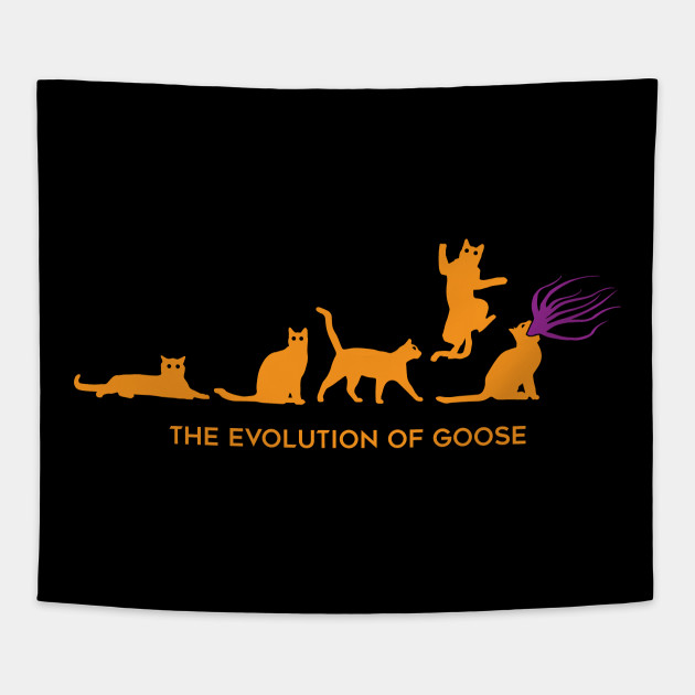 The Evolution of Goose
