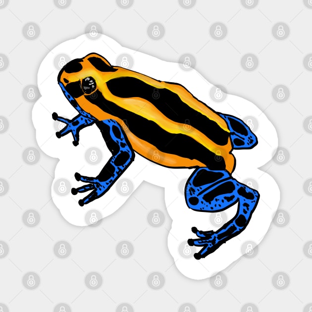 Poison Dart Frog Magnet by Veakari