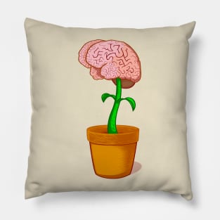 And the Brain grows on Pillow