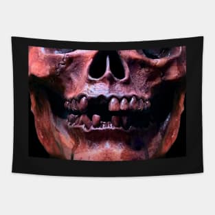 Toothless SKull Tapestry