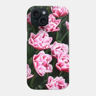 Fancy Red and White Tulips in Mount Vernon Phone Case
