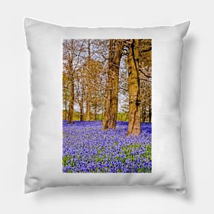 Bluebell Woods Greys Court England UK Pillow