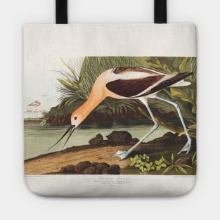 American Avocet from Birds of America (1827) Tote