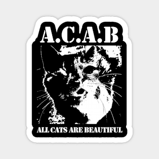 All Cats Are Beautiful Magnet