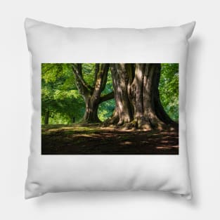 Belfast Woods Pillow