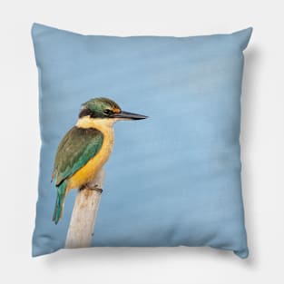 Beautiful sacred kingfisher portrait Pillow