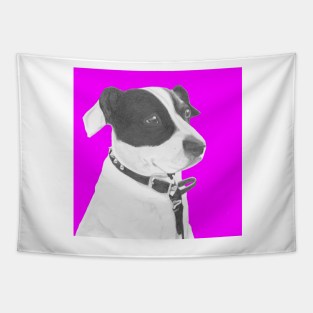 Jack Russell Crossbreed in Pink Headshot Tapestry