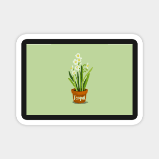 Jonquil in a pot Magnet