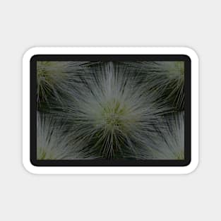 Firework flower Magnet