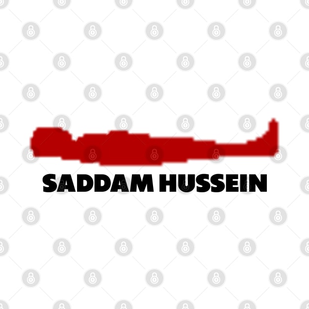 Saddam Hussein's Hiding Place by Mrmera