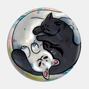 Two cats snuggling Pin