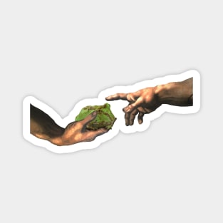 Creation of Horned Frog Magnet