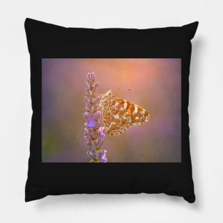 Painted Lady Butterfly Backlit on Lavender Pillow