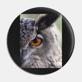 Eurasia Eagle Owl Pin