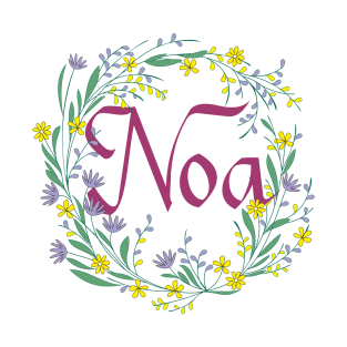 Name Noa. T-Shirt