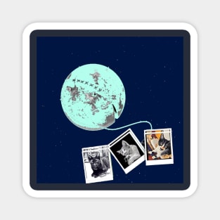 MOON PHOTO CAT Magnet