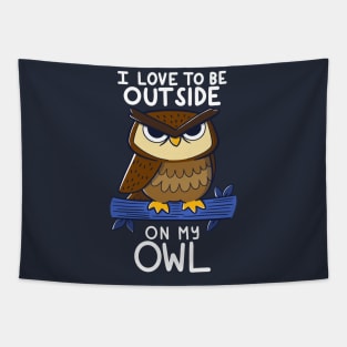 On my OWL Tapestry
