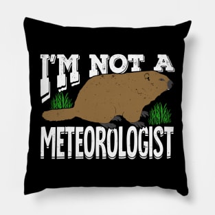 Groundhog Woodchuck Meteorology Meteorologist Gift Pillow