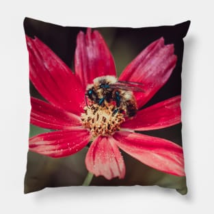 Pollen Collection. Bee Photograph Pillow