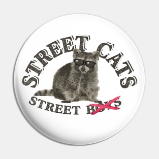 Street Cat Vintage Pin