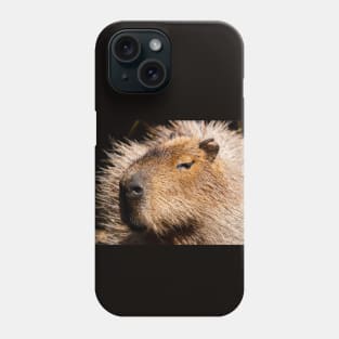 Capybara Phone Case