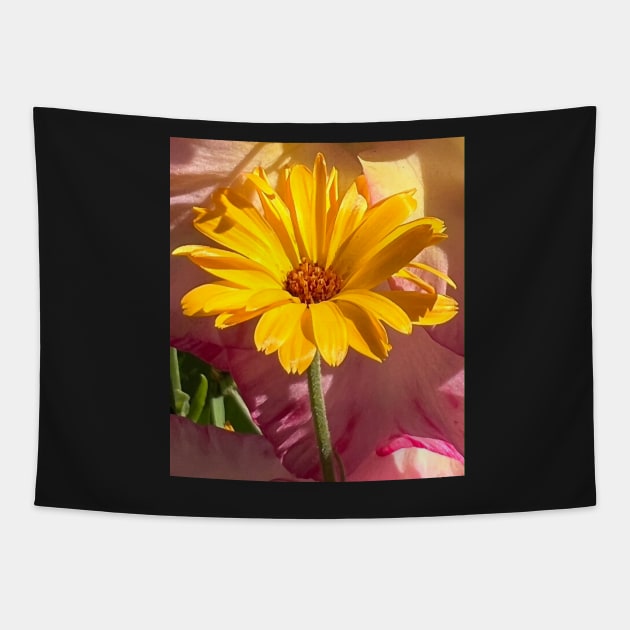 Rising Yellow Daisy Flower Tapestry by Photomersion