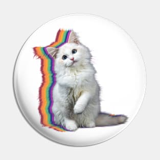 Rainbow cat Pin