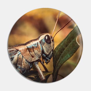 Autumn Grasshopper Macro Photograph Circle Crop Pin