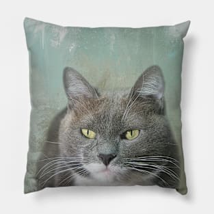 Cute Charcoal Tuxedo Cat 01 Pillow