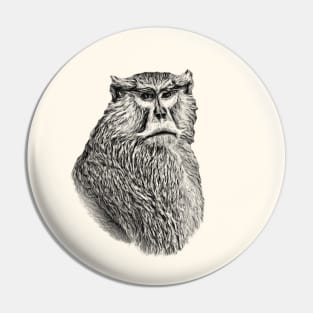 Patas monkey Pin