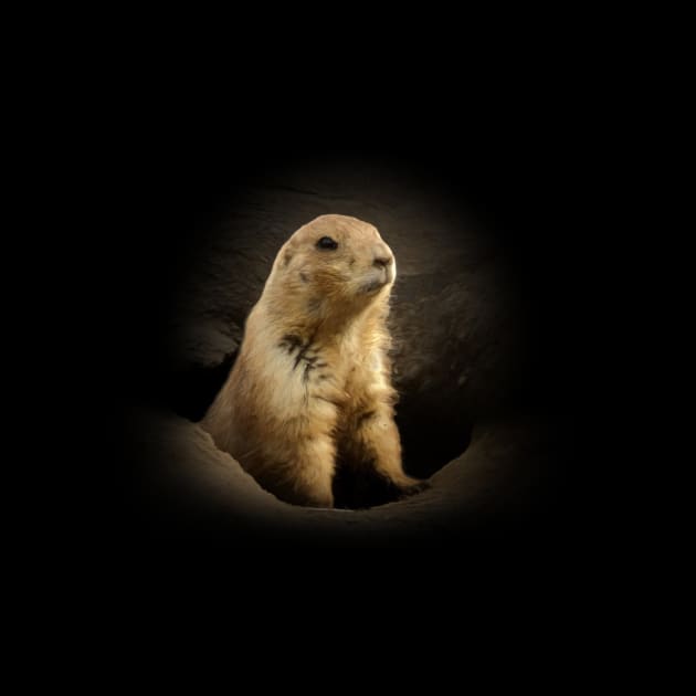 Prairie dog by Guardi