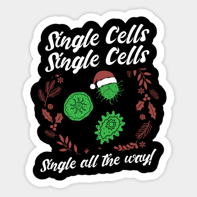 Development Of Vitreous Humor Biology Stack Exchange