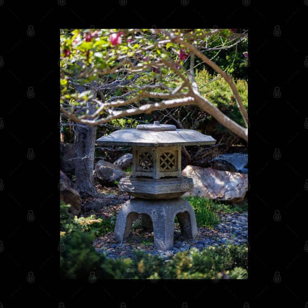 Photography of a Toro Japanese Lantern Garden V1 by Family journey with God