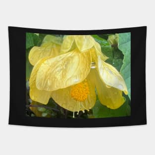 Yellow Flowering Maple...We are made to Open in Love Tapestry