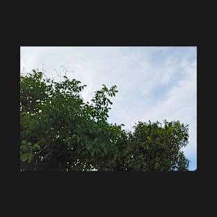 Blue Sky And Green Leaves Photo T-Shirt