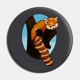 cute red panda on tree Pin