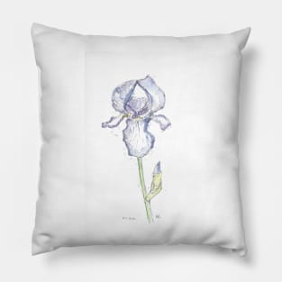 Blue iris illustration. Pillow